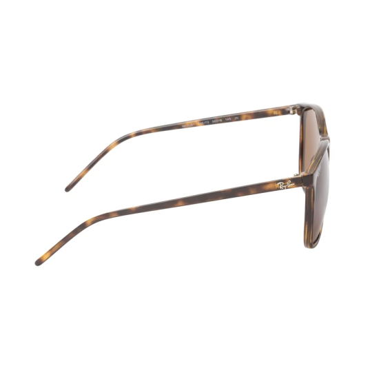Ray-Ban RB4387 710/73