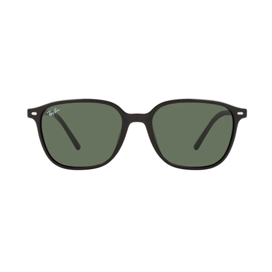 Ray-Ban  Leonard RB2193 901/31
