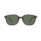 Ray-Ban  Leonard RB2193 901/31