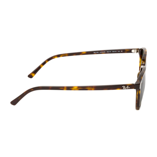 Ray-Ban  Leonard RB2193 902/31