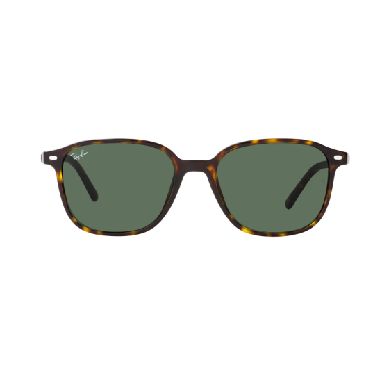 Ray-Ban  Leonard RB2193 902/31