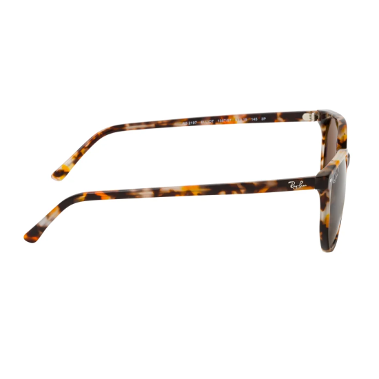 Ray-Ban Elliot RB2197 902/33