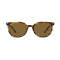 Ray-Ban Elliot RB2197 902/33