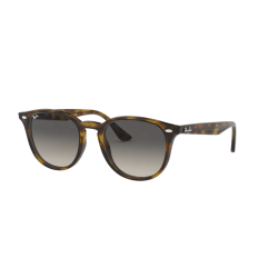 Ray-Ban RB4259 710/11