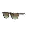 Ray-Ban RB4259 731/E8