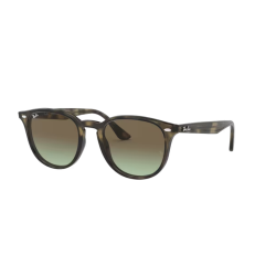 Ray-Ban RB4259 731/E8