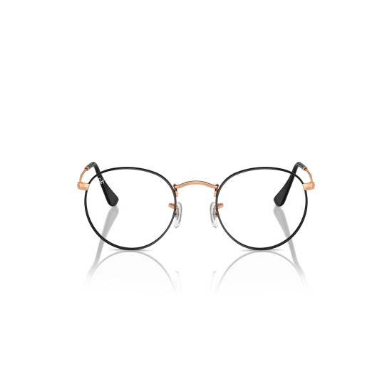 Ray-Ban RX3447V 3173
