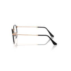 Ray-Ban RX3447V 3173