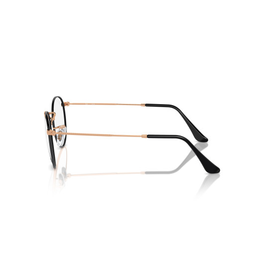 Ray-Ban RX3447V 3173