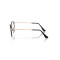 Ray-Ban RX3447V 3173