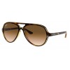 Ray-Ban Cats 5000 RB4125 710/51