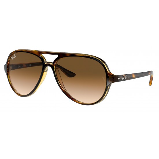 Ray-Ban Cats 5000 RB4125 710/51