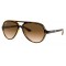 Ray-Ban Cats 5000 RB4125 710/51