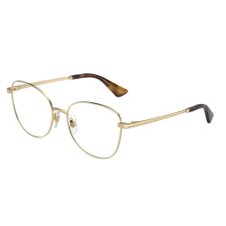 Dolce&Gabbana DG1355 1365