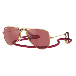 Ray-Ban RJ9506S 223/B5