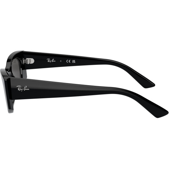 Ray-Ban Kat RB4427 667787