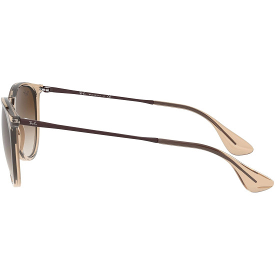 Ray-Ban Erika RB4171 674413