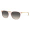 Ray-Ban Erika RB4171 674211
