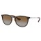 Ray-Ban Erika RB4171 710T5 Polarized