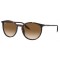 Ray-Ban RB2204 902/51