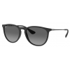 Ray-Ban Erika RB4171 622T3