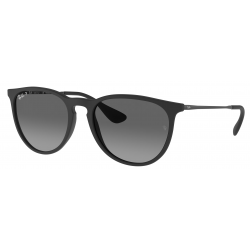 Ray-Ban Erika RB4171 622T3