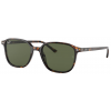 Ray-Ban  Leonard RB2193 902/31