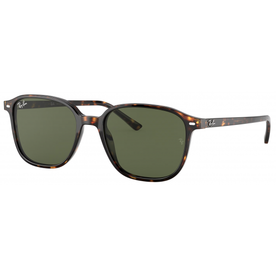 Ray-Ban  Leonard RB2193 902/31