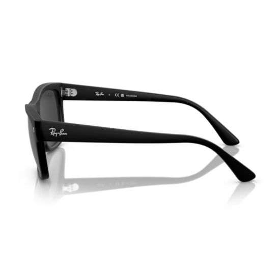 Ray-Ban RB4428 601S48 Polarized