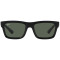 Ray-Ban Warren RB4396 667771