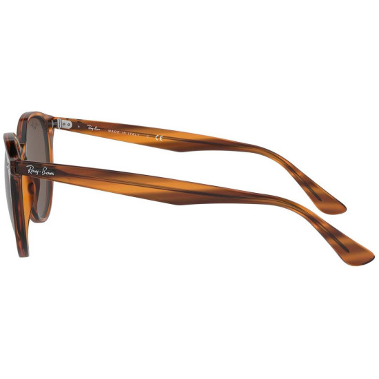 Ray-Ban RB4305 820/73