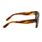 Ray-Ban RB0360S 954/31
