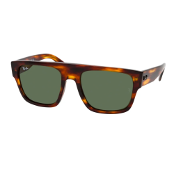 Ray-Ban RB0360S 954/31