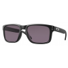 Oakley Holbrook OO9102 E8
