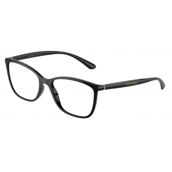 Dolce&Gabbana DG5026 501
