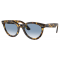 Ray-Ban Wayfarer way RB2241 13323F
