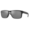 Oakley Holbrook OO9102 D6 Polarized