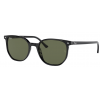 Ray-Ban Elliot RB2197 901/31