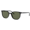 Ray-Ban Elliot RB2197 901/31
