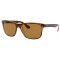 Ray-Ban RB4181 710/83