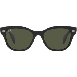 Ray-Ban RB0880S 901/31