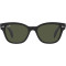 Ray-Ban RB0880S 901/31