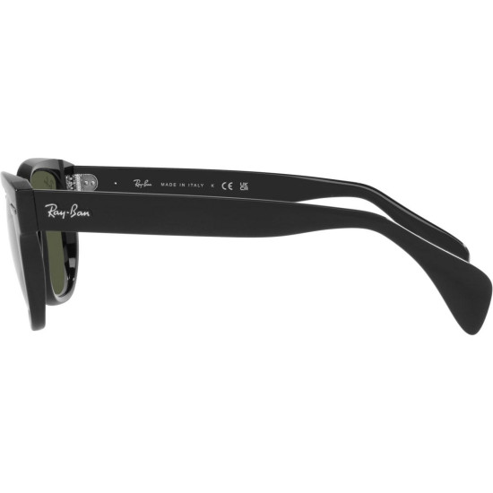 Ray-Ban RB0880S 901/31
