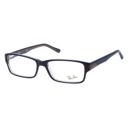 Ray-Ban RX5169 5815