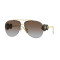 Versace VE2250 100287