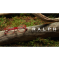 Ralph by Ralph Lauren RA7134 5989