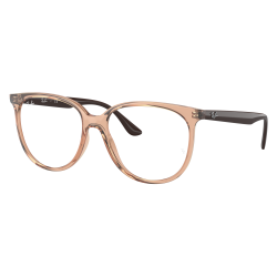 Ray-Ban RB4378V 8172