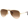 Ray-Ban RJ9506S 223/13