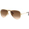 Ray-Ban RJ9506 22011