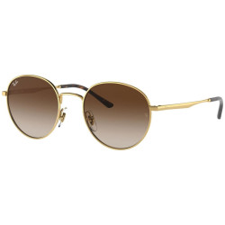 Ray-Ban RB3681 001/13